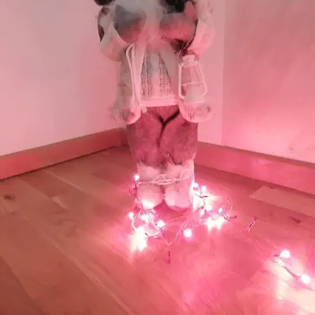 Apartament Stevanovic *