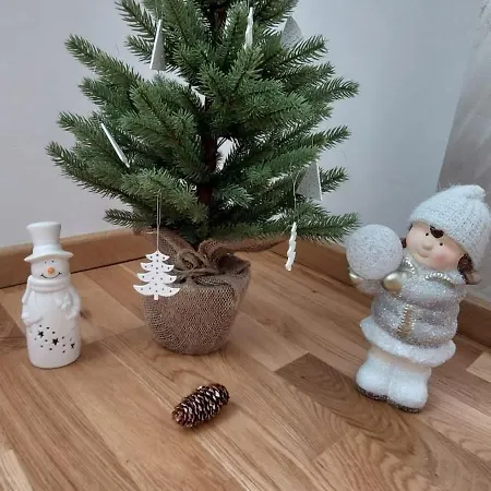 Stevanovic Apartament *