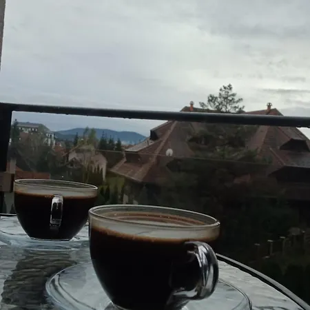 Stevanovic Apartament *